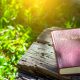 Kako Biblija može biti nepogrešiva?