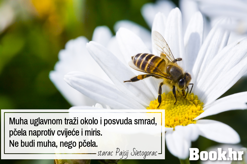 Ne budi muha nego pčela