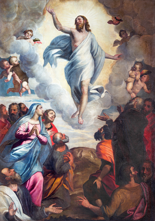 Slika u crkvi Santa Maria del Carmine slikara Bernardina Gandina (1587 – 1651).