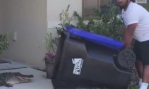 VIDEO Pred kućnim pragom uhvatio aligatora u kantu za smeće