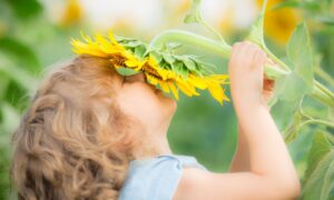 Sunny studio, Shutterstock