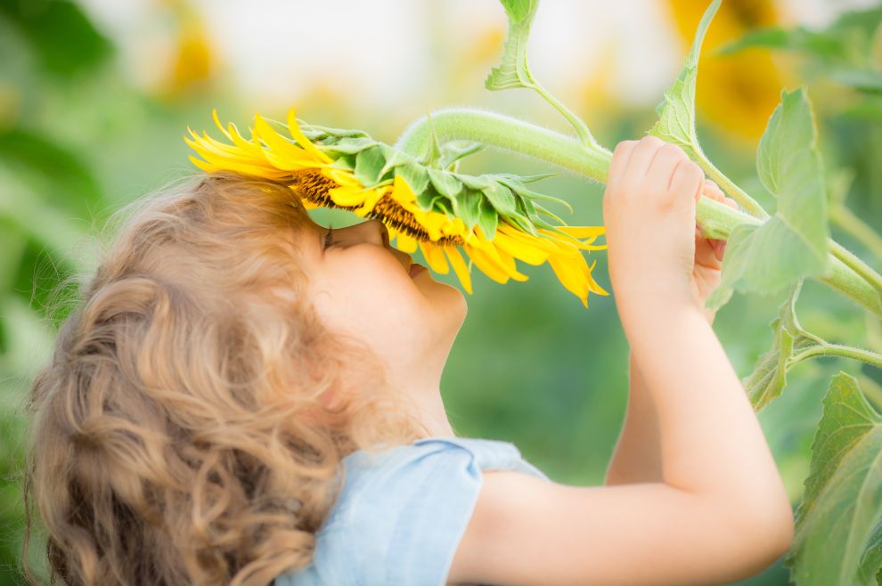 Sunny studio, Shutterstock