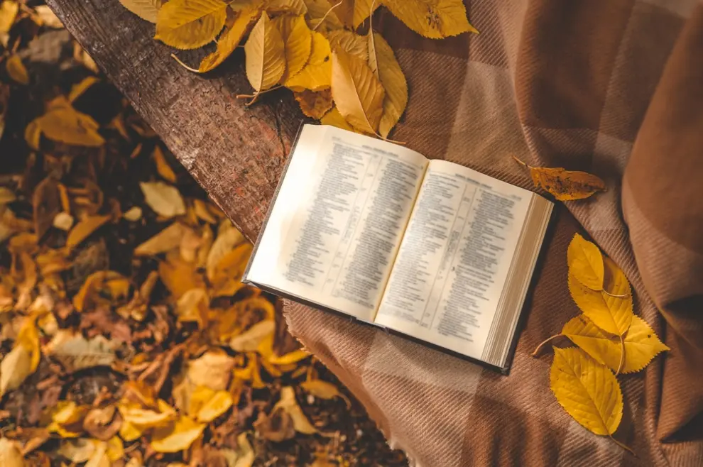 otvorena Biblija na deki uz lišće